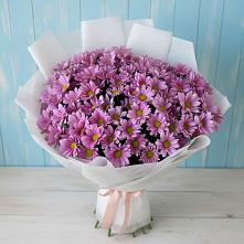 Букет цветов из:  Хризантемы в Скоропусковском