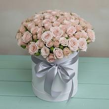 Цветочная композиция из Розы в шляпной коробке в Скоропусковском