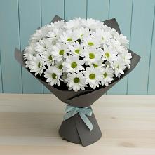 Букет цветов из:  Хризантемы #REPLACE_PRED# Скоропусковском