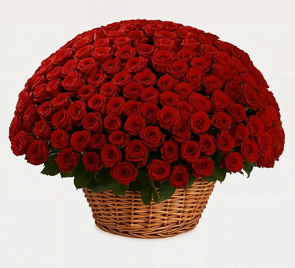 Премиум букет из: Розы в Скоропусковском