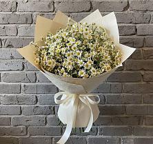 Букет цветов из:  Ромашки #REPLACE_PRED# Скоропусковском