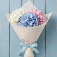 Букет цветов из:  Гортензия в Скоропусковском