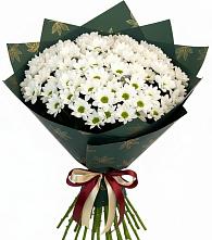 Букет цветов из:  Хризантемы в Скоропусковском