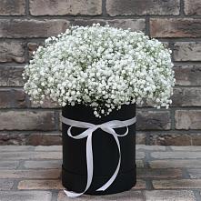 Цветочная композиция из Гипсофила в шляпной коробке в Скоропусковском