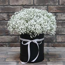 Цветочная композиция из Гипсофила в шляпной коробке в Скоропусковском