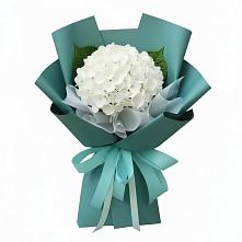 Букет цветов из:  Гортензия в Скоропусковском